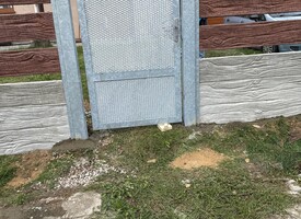 Betonové ploty Akce Dolní Bělá 3